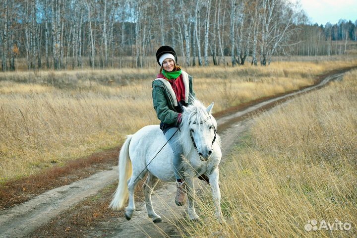 Случка с пони