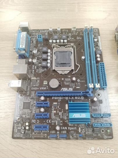 Asus P8H61-M LX