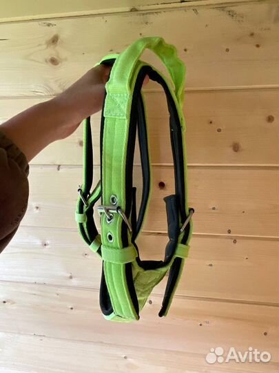 Амуниция для собак