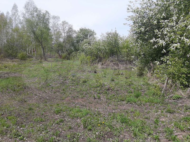 Участок 11 сот. (ИЖС)