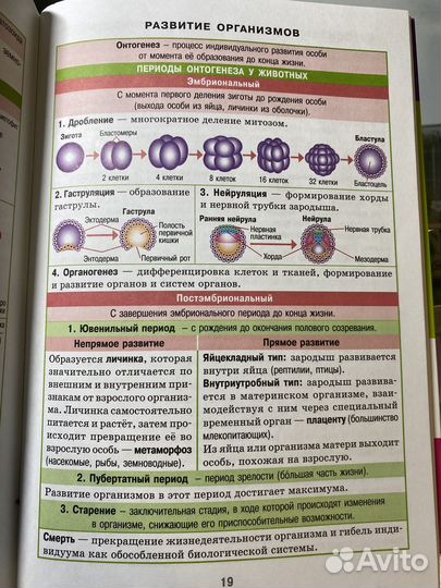 Справочник в таблицах по биологии