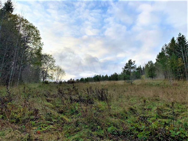 Участок 2,72 га (СНТ, ДНП)