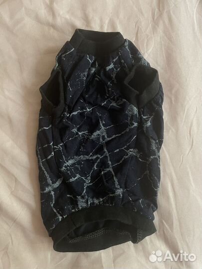 Одежда для собак