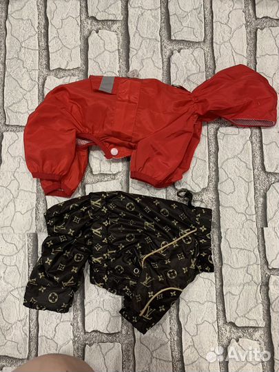 Плащевка для маленькой собачки