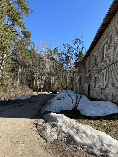 1-к. квартира, 42,6 м², 1/2 эт.