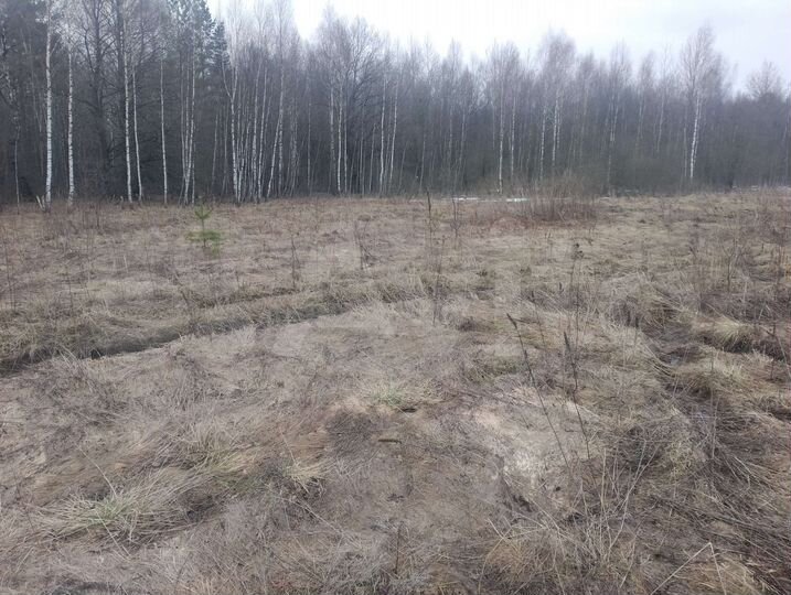 Участок 15 сот. (ИЖС)