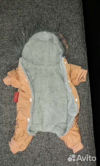 Одежда для маленьких собак