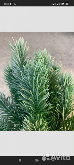 Ветки ели нобили и искусственная литая хвоя