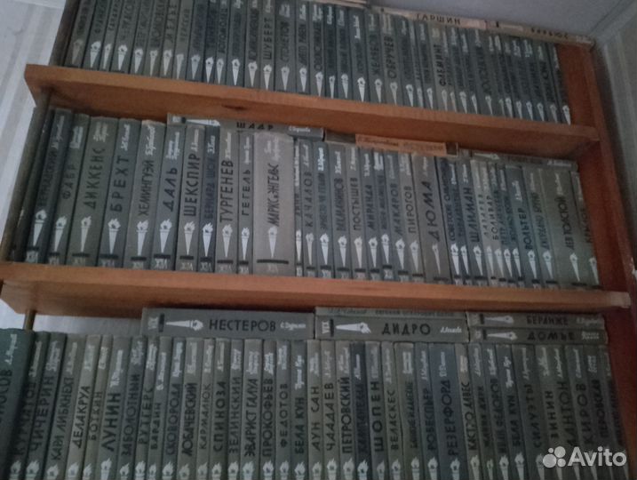 Серия биографий Жизнь замечательных людей