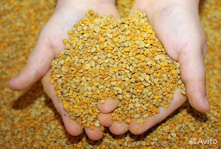 Пыльца пчелиная