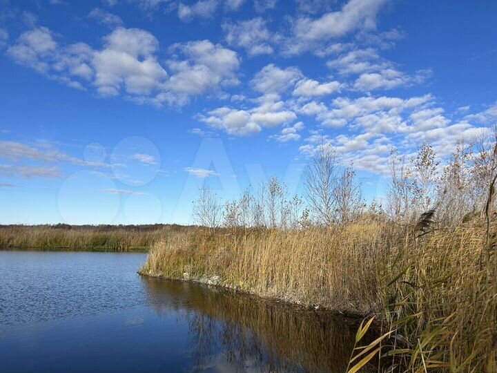 Участок 58,8 га (СНТ, ДНП)