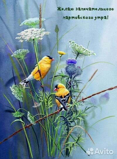 Корм для попугаев 3 пачки