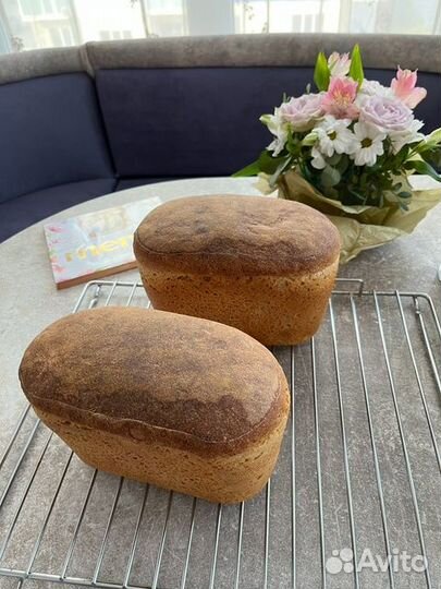 Закваска для хлеба хмелевая