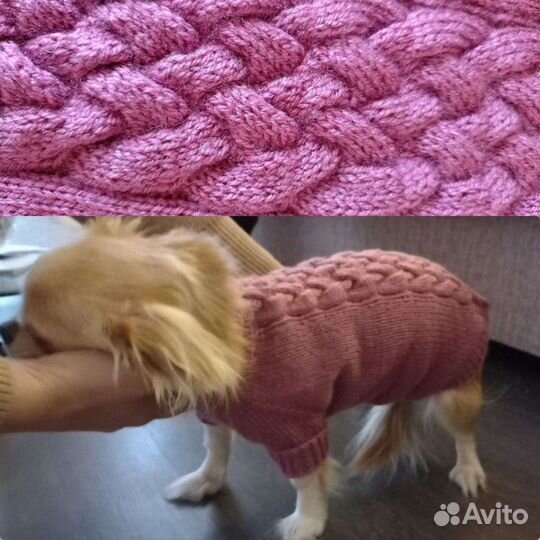 Одежда для животных