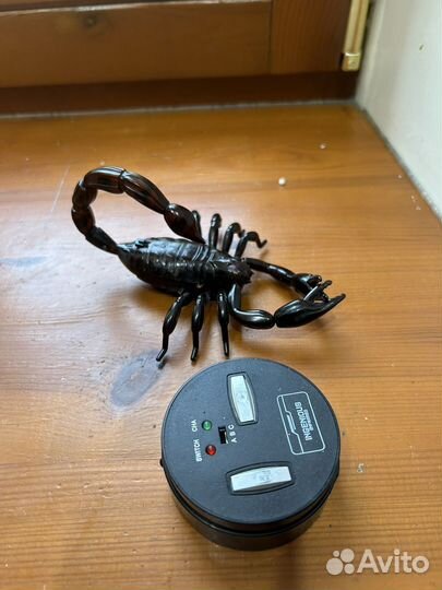Паук на пульте