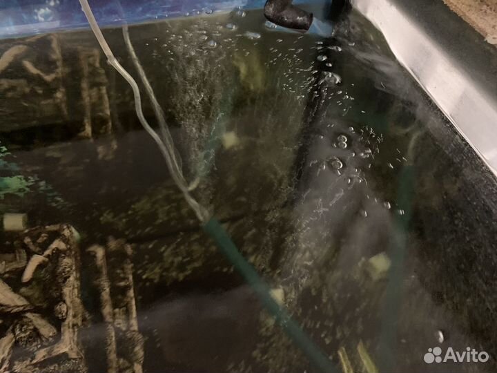 Аквариум с рыбками