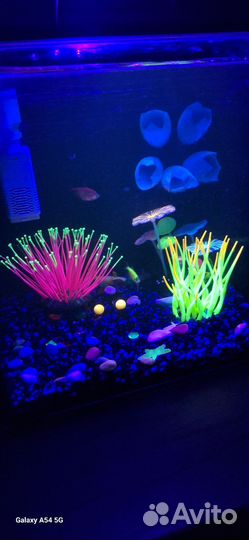 Аквариум с рыбками