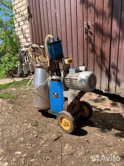 Доильный аппарат для коров бу