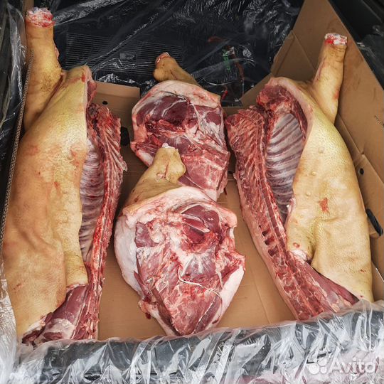 Домашняя свинина