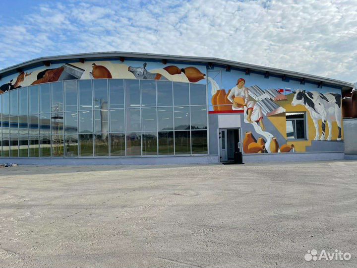 Роспись стен Санкт-Петербург / Граффити