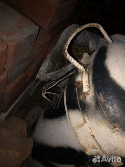 Колодец торпеда