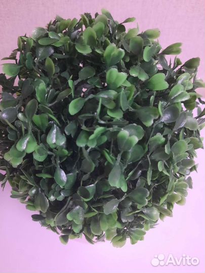 Искусственный самшит