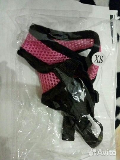 Шлейка для собак