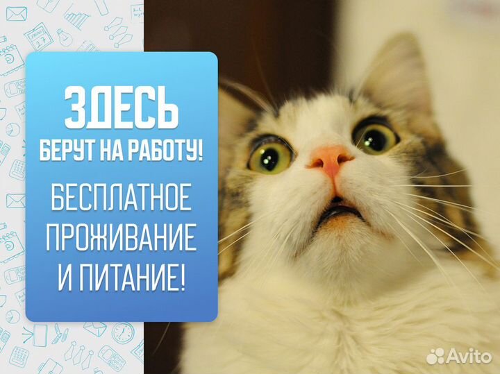 Вахта 15/30/45 + Питание жильё/ Комплектовщик