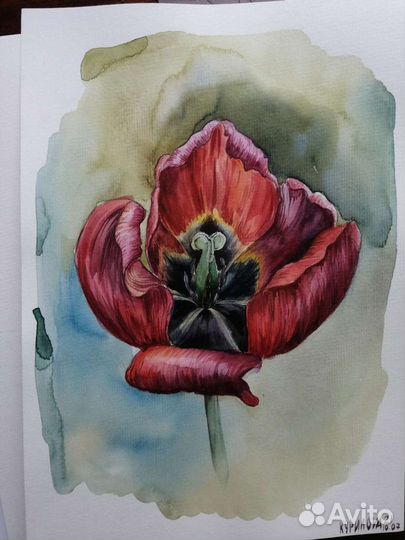 Картины цветов