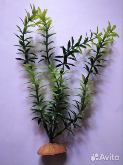 Оборудование для аквариумов от 20 литров