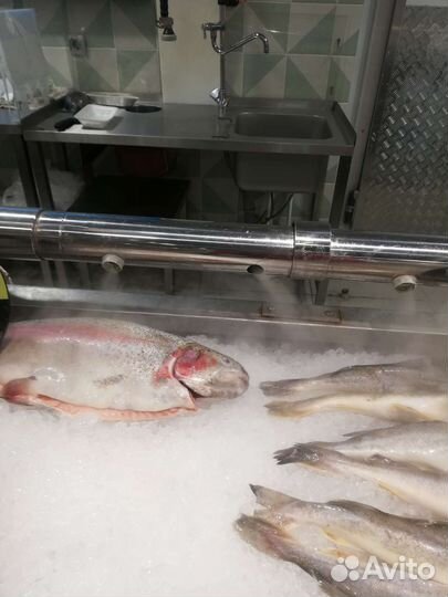 Ультразвуковая система орошения