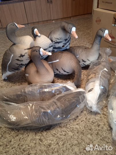 Чучела гусей Белолобый Softplast 3D BS-3D