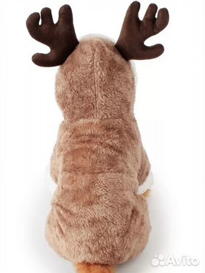 Костюм для маленькой собаки