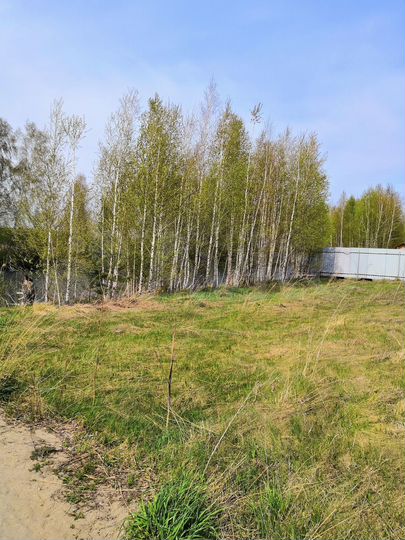 Участок 6 сот. (СНТ, ДНП)