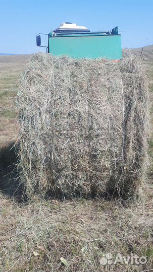 Продам сено в рулонах