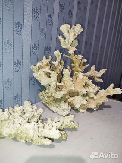 Для аквариума