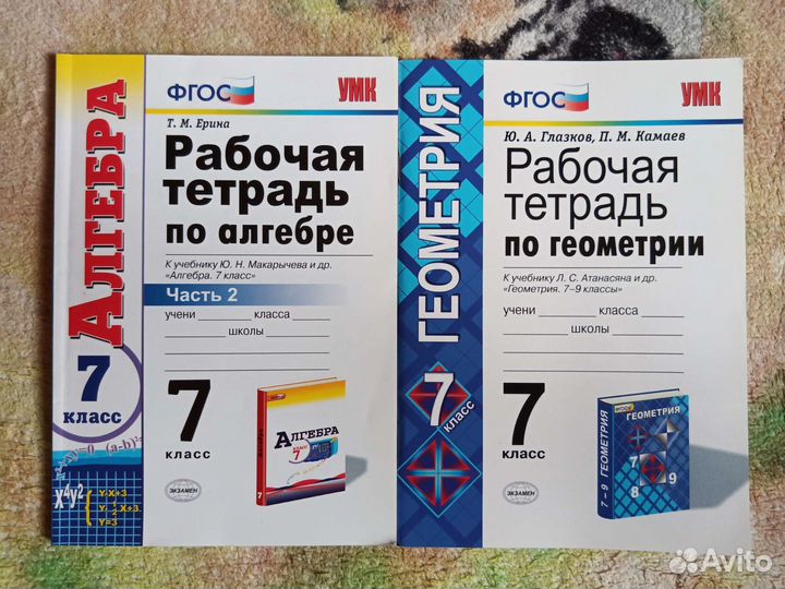 Рабочие тетради по алгебре и геометрии 7 класс