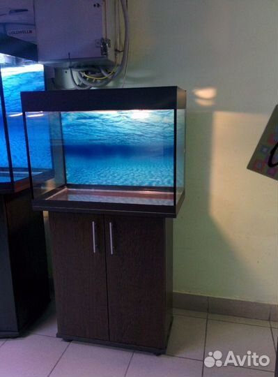 Аквариум 80, новый. свет, крышка, фон, тумба