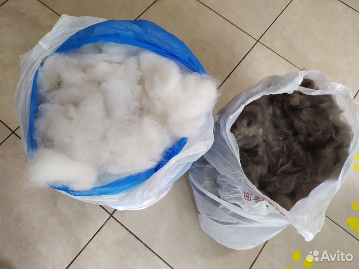 Собачья шерсть