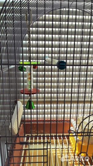 Клетка для птиц бу