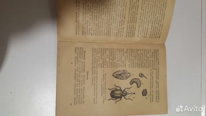 Книга Н.А.Иванова 1951г