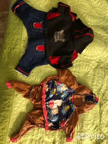 Костюм на собаку