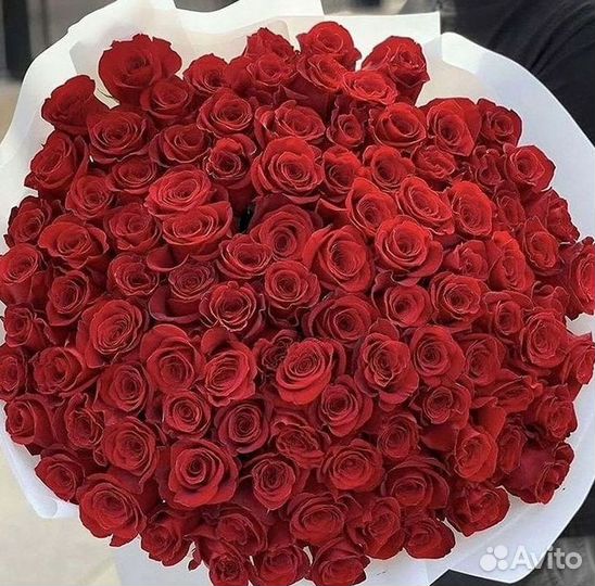 Розы Букеты Цветы Розы 31 101 151 201 Доставка