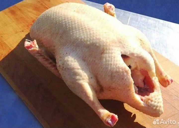 Мясо индоутки