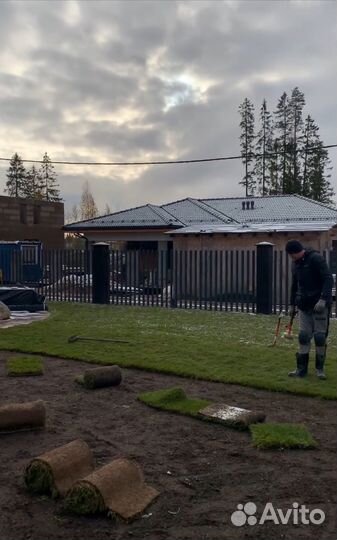 Рулонный газон под ключ