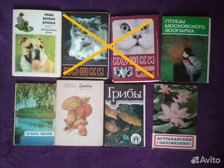 Открытки: животные, растения, города