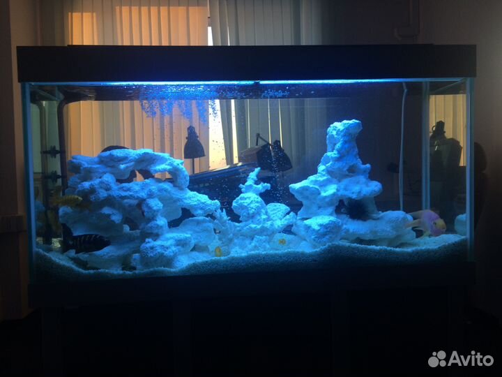 Обслуживание аквариумов