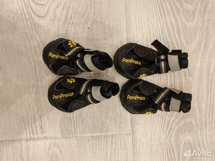 Одежда для средней собаки