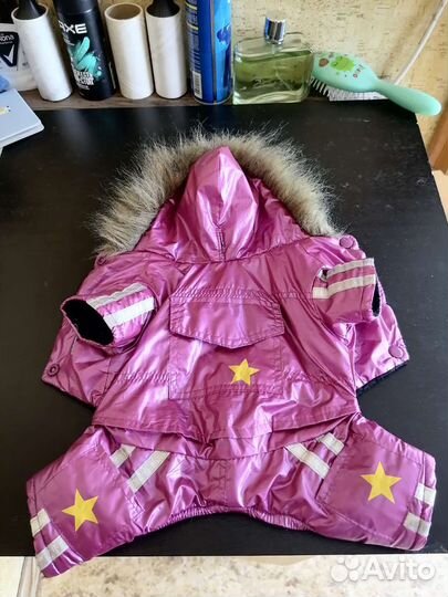 Комбинезон на собаку