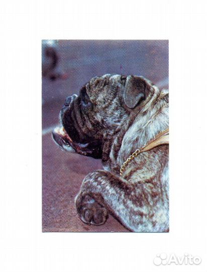 Коллекция карманных календариков 60-90 г. XX Век